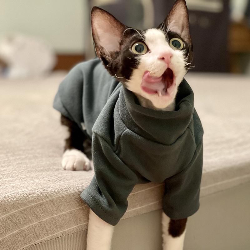 Winter Clothing For Toddlers - Sphynx-ropa para gatos de algodón suave