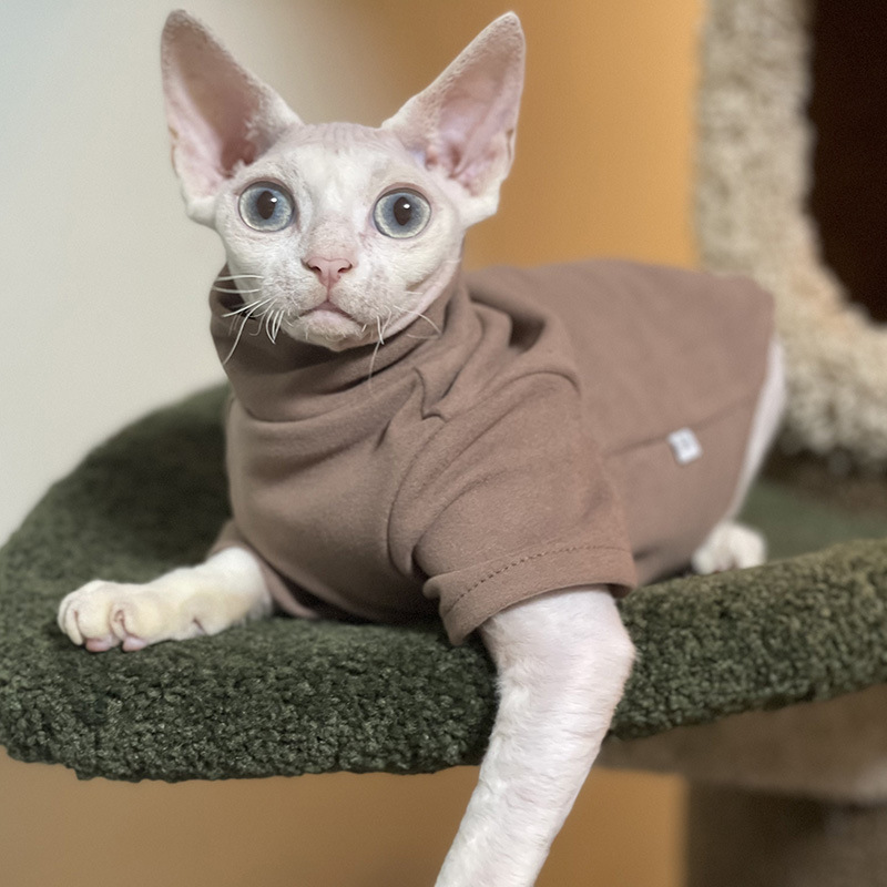 Sphynx-ropa para gatos de algo - Winter Clothing For Toddlers reseña y precio